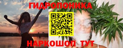 шишки Балаково