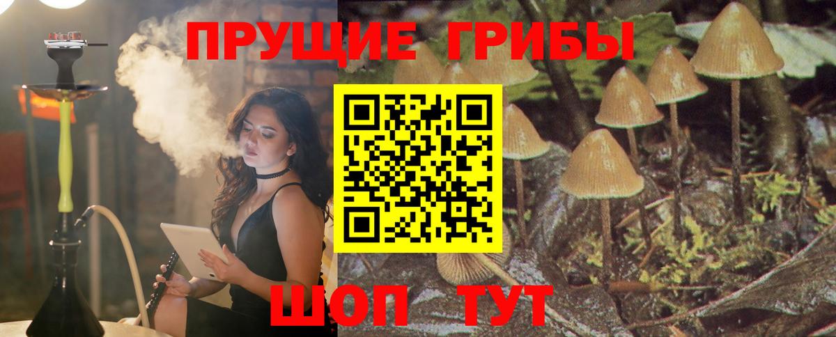 Березники  Галлюциногенные грибы ЛСД  Вход с VPN 