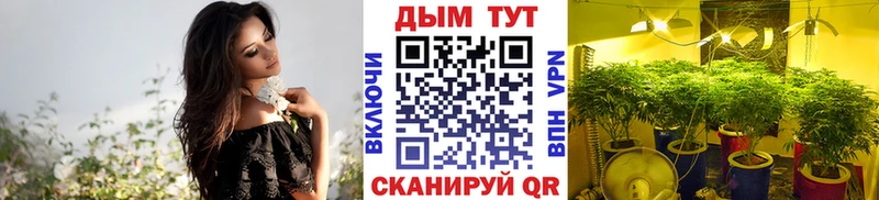 Каннабис MAZAR  Березники 